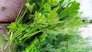 Заправка для салата из зелени и йогурта