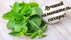 Сахарозаменители: ВРЕДНЫ или ПОЛЕЗНЫ? Вся правда о сахарном спирте!