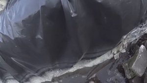 Купил корм для рыб, ушла? вода в пруду