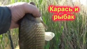 Крупный карась с каждого заброса!!! Караси не сдаются  в очереди за наживкой часть №2
