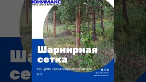 Сетка Шарнирная оцинкованная для заборов и ограждений. Собственное производство.