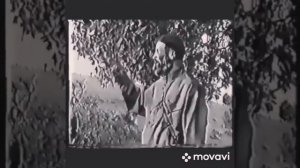 Хачилаев - ЛЕВ