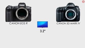 Canon EOS R vs Canon 5D MARK IV | Full Comparison