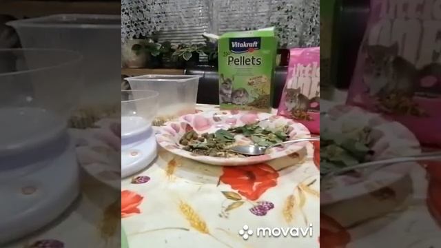 Готовим корм для шиншилл.