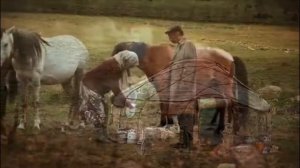 Алыкул Осмонов 30 жаш