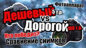 Тест дорогого и дешевого фотоаппарат. Сравнение фотографий.