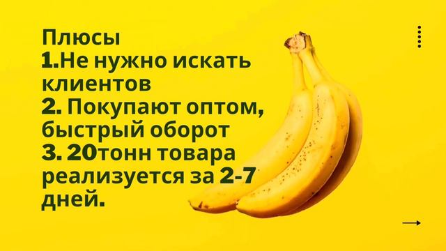 Открыть овощной магазин или оптовая торговля, что выгодно?