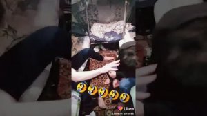 Ханда болои ханда прикол 2020