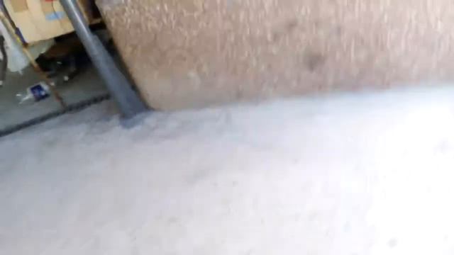 Никен кот играет с мячиком смотреть онлайн