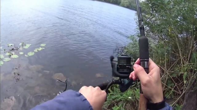 А рыбы ещё лето!!! Сазан, плотва на фидер. смотреть онлайн