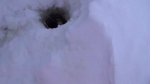 Каменное.11й карьер. ХМАО. Архивные кадры 2014, ловим щуку на жерлицы