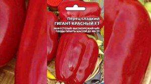 Сорта и гибриды самого толстостенного перца на 2020 год