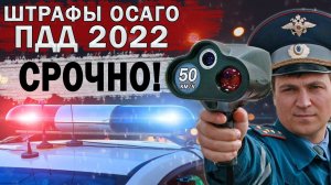 ВСЕ ИЗМЕНЕНИЯ ПДД 2022: КОНФИСКАЦИЯ авто | Штраф в городе 50км.ч | СИМы | ОСАГО | ОТМЕНА СКИДОК