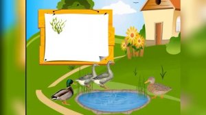 12 Домашние птицы