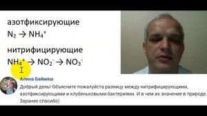 Отличие между нитрифицирующими, азотфиксирующими и клубеньковыми бактериями