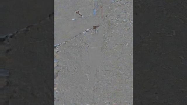 как пользоваться впхр
