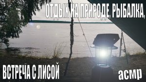 Рыбалка и отдых дикарями на водоеме, встреча с лисой, отдых на TLC Prado 78