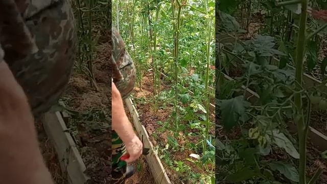 формирую проводник и пасынки. смотреть онлайн