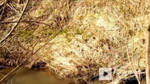 Майский поход по реке Мосиха