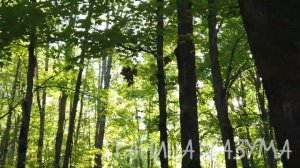 Гагарин в космос не летал!Нас как всегда жестоко обманули!А это значит,вся история ФЭЙК!