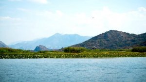 Черногория: природа, горы, окрестности