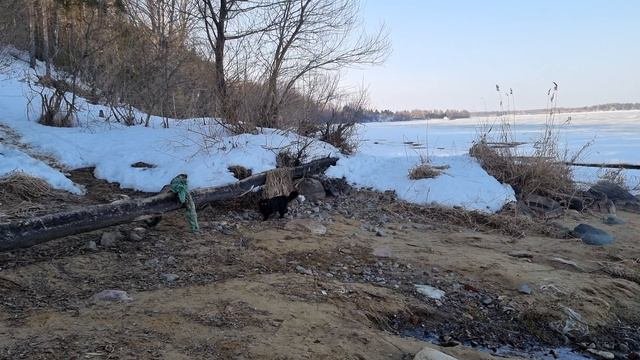 Любопытная