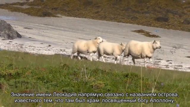 Значение имени Леокадия. Толкование, судьба, характер смотреть онлайн