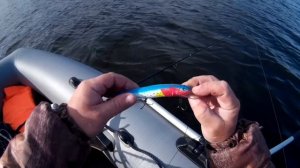 Ловля щуки троллингом. Выезд седьмой, завершающий сезон. Catching a pike by trolling