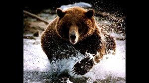 Медведь пожирал девушку, когда она звонила своей маме