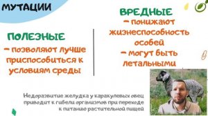 Л.14 | НАСЛЕДСТВЕННАЯ ИЗМЕНЧИВОСТЬ | ГЕНЕТИКА | ОБЩАЯ БИОЛОГИЯ ЕГЭ