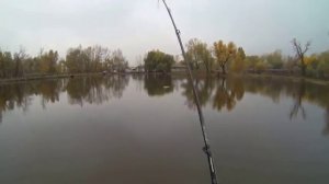 Клёв щуки весной