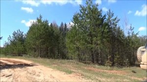 Русская пегая гончая  Снайпер 4722-0038 дата рожд. 01.05.2012г. вл. Портянко В.Г.