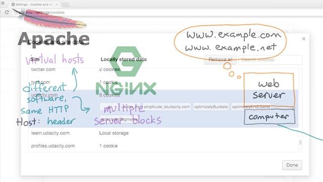 DNS and HTTP смотреть онлайн