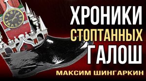 «ХРОНИКИ СТОПТАННЫХ ГАЛОШ». Автор — Максим Шингаркин