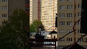 Ритуал на ?????Деньги.Кормим Птиц?