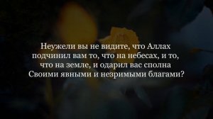 Чтение корана. чтец Саид Дубаха. сура Лукман.