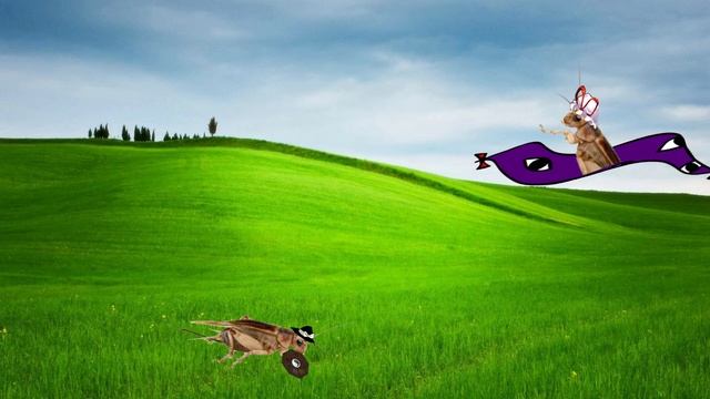 A totally normal battle nothing to see here смотреть онлайн