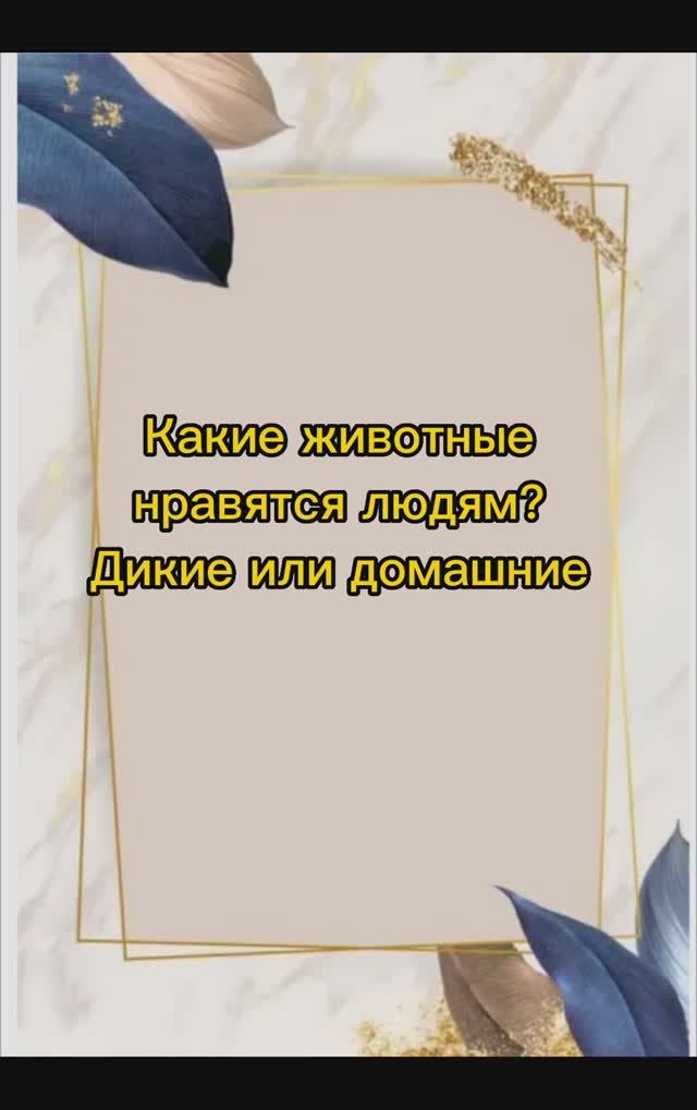 Дикие или домашние животные?