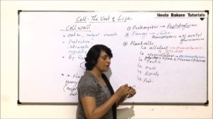 Cell - The Unit of Life | NEET | Cell Wall - Introduction and Composition