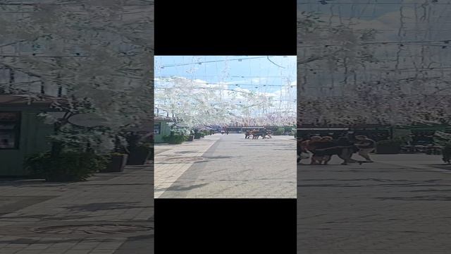 Центр города Краснодар 🌞 гуляем по Краснодару