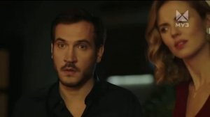 Новогодняя реклама Sheba 2021-2022