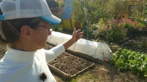 Видео привет с 6 соток 22 сентября 2023 года