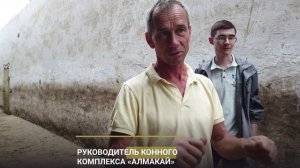 Мини-погрузчик Frontmen. Тест-драйв на конной ферме АЛМАКАЙ