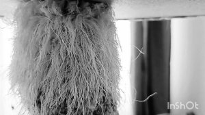 ‼️Быстро, дешево, сердито! Ремонт когтеточки!‼️