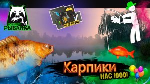 РР4/ рыбалка для души, ловим как универсал, общаемся 12.01.23