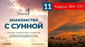 11. Чтение избранных хадисов. Хадисы 284—291 | Ринат Абу Мухаммад. Знакомство с Сунной