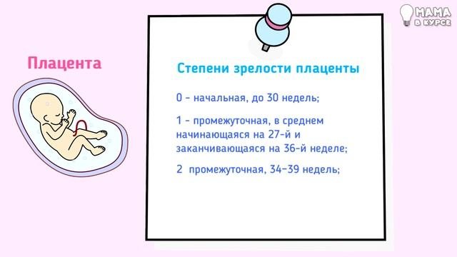Второй скрининг. Расшифровка результатов  и нормы