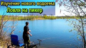 ЛОВЛЯ НА ПИКЕР В МАЕ НА ПРУДУ .