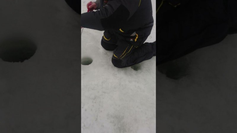 Достойное сопротивление