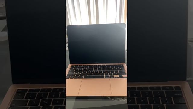 Apple MacBook Air (13", Mid 2019/2018) Startup